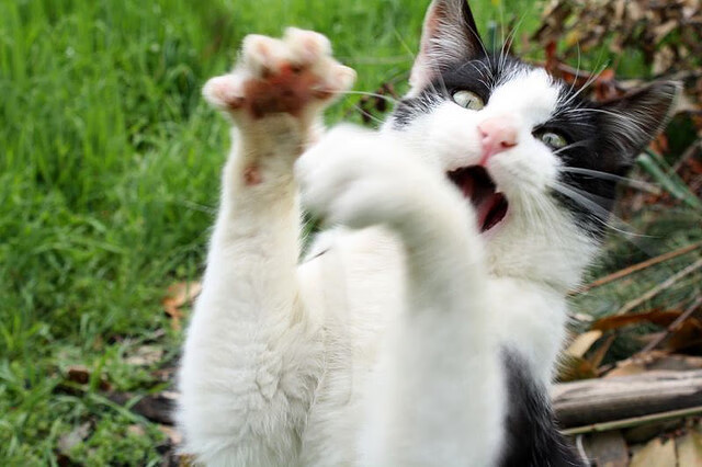 开云体育网页版-体育+文创融合，推出一系列篮球主题文化产品和活动，篮球文化主题墙