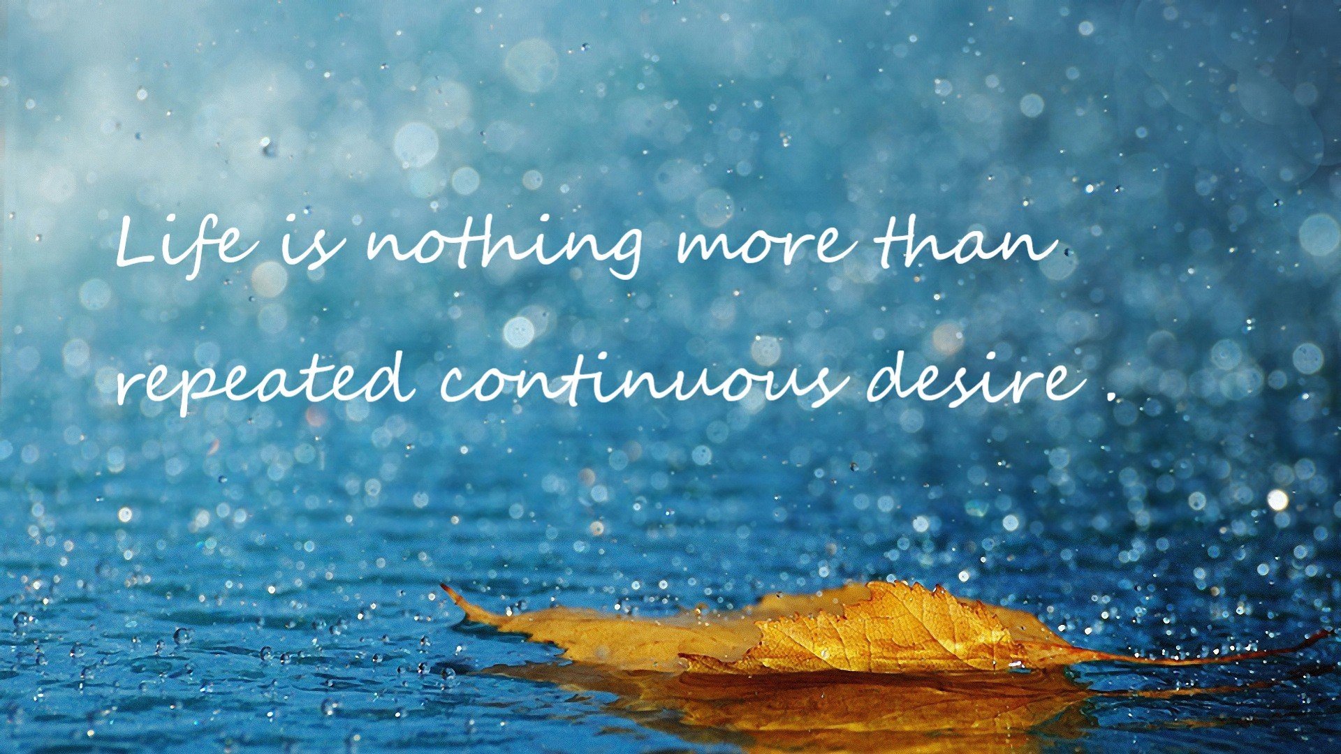 kaiyun中国官方网站-意大利马术协会推出马术运动员心理辅导项目，提升竞技表现。，意大利的马